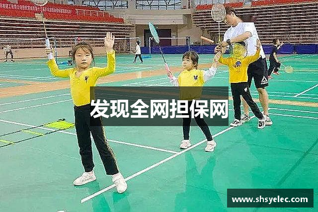 发现全网担保网